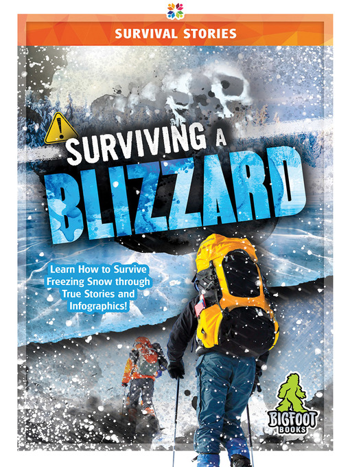 Cover image for Surviving a Blizzard
